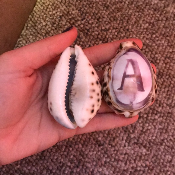 initial shells - Picture 2 of 2